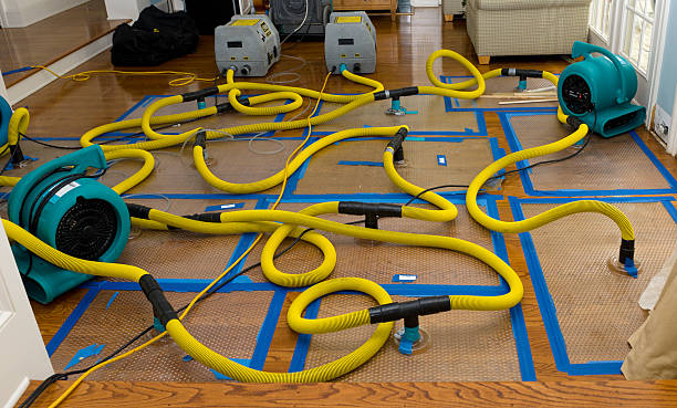 Professional Water Damage Restoration technician working in Montgomery, MN